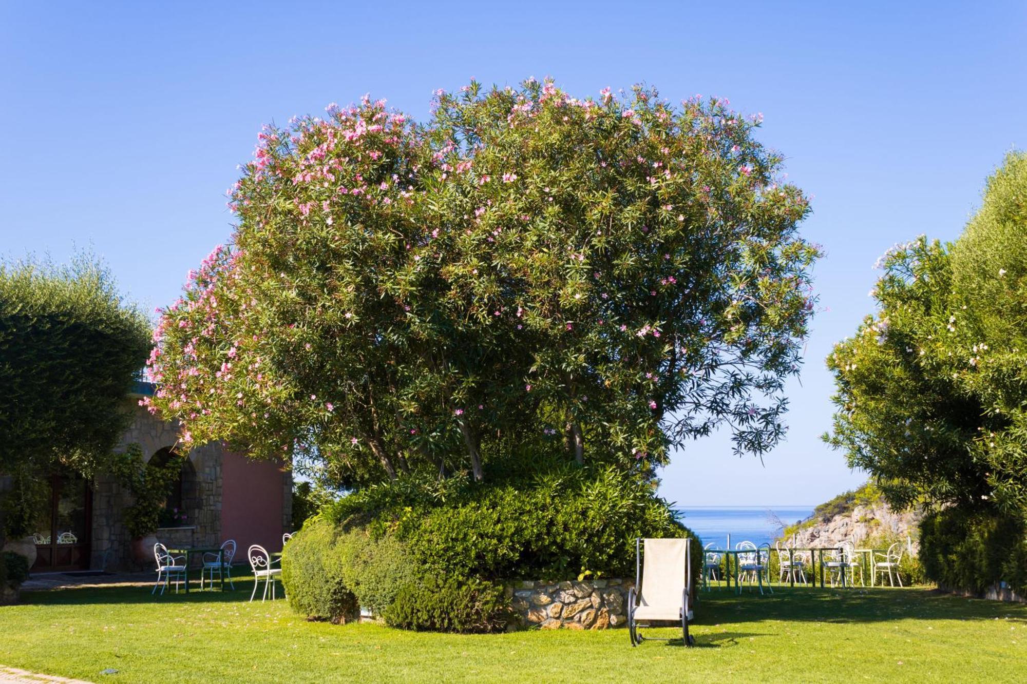 Hotel Capo D'Uomo Orbetello Exterior photo